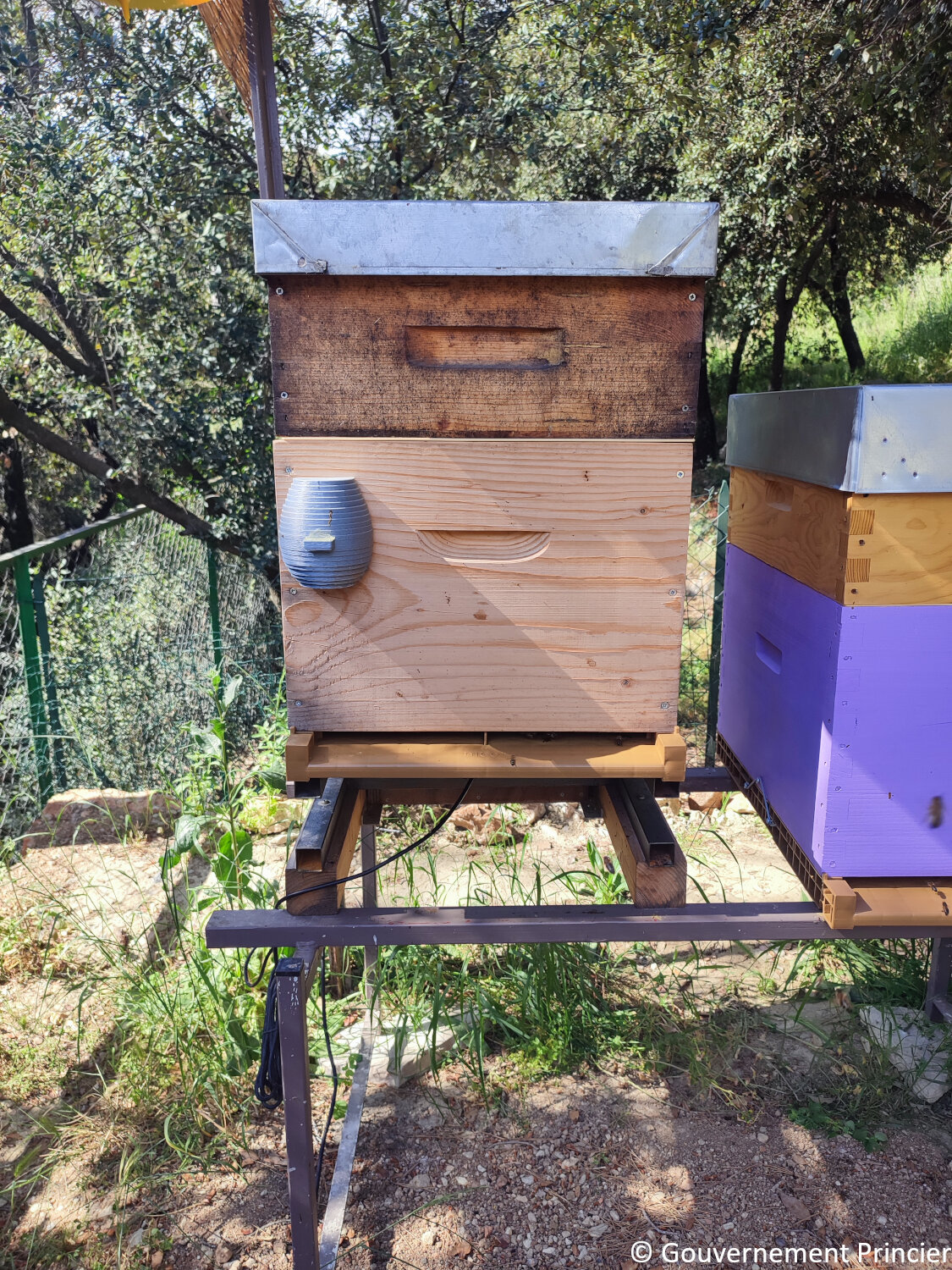 Ruche connectée de La Turbie