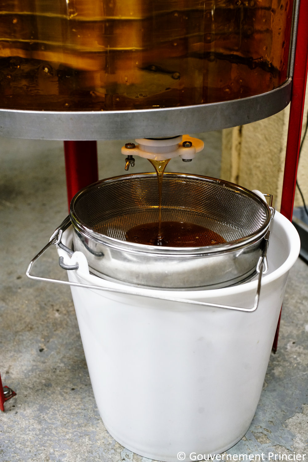 Écoulement du miel de la centrifugeuse